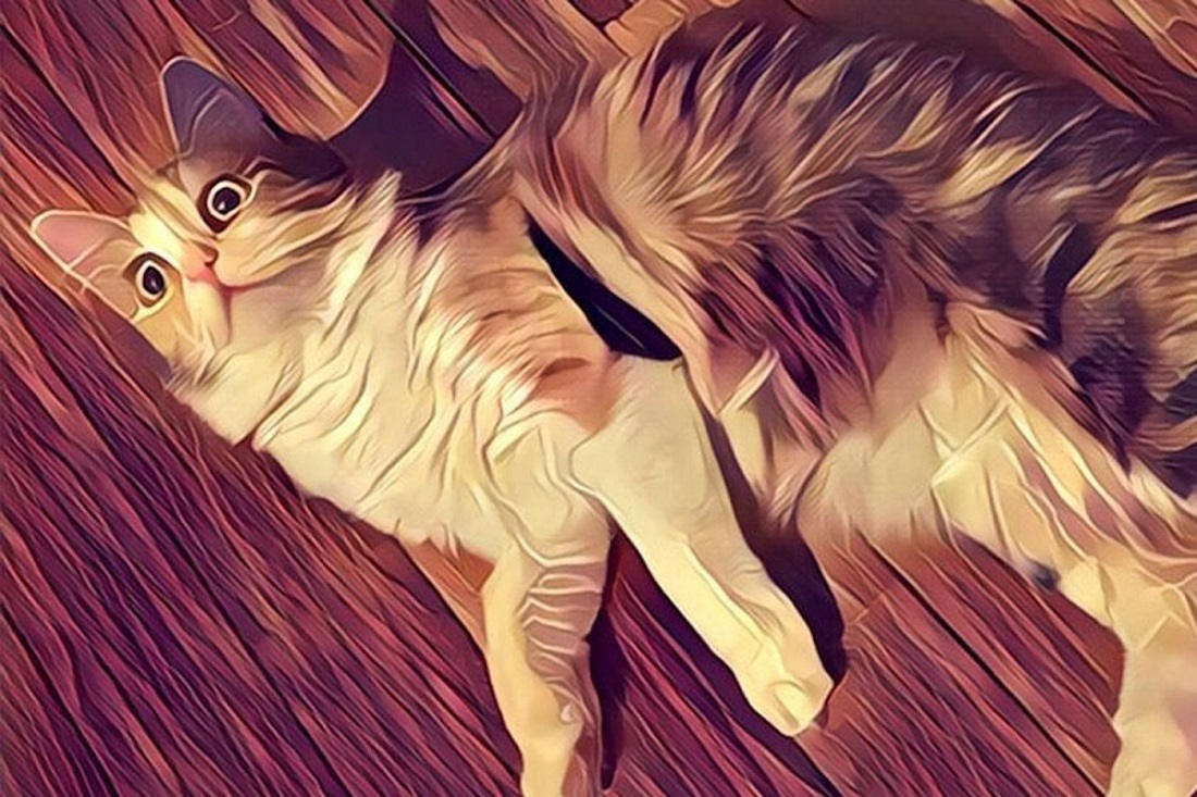 https://www.fandroid.com.pl/wp-content/uploads/2016/07/Prisma1.jpg